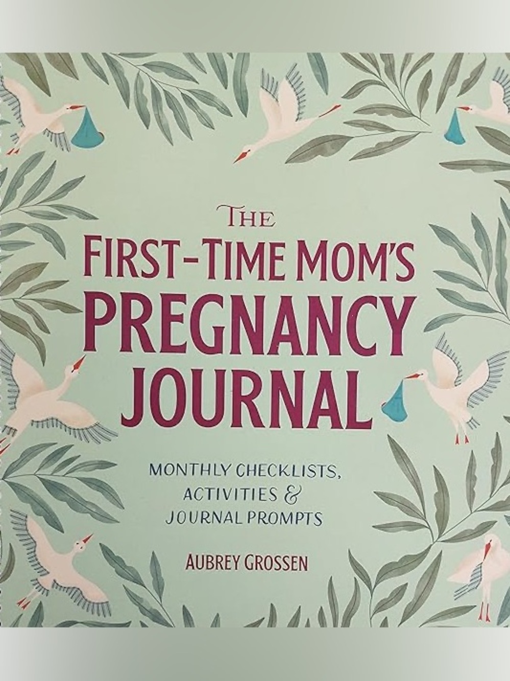 First time mom’s pregnancy baby announcement journal